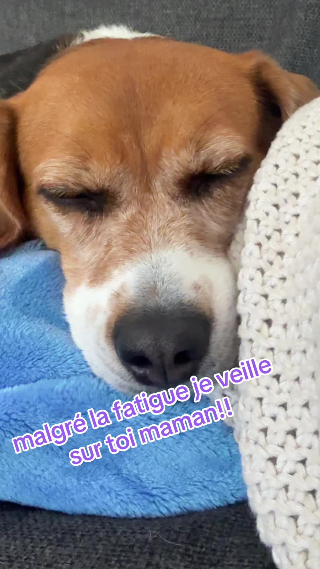 @miss.pulpeuse