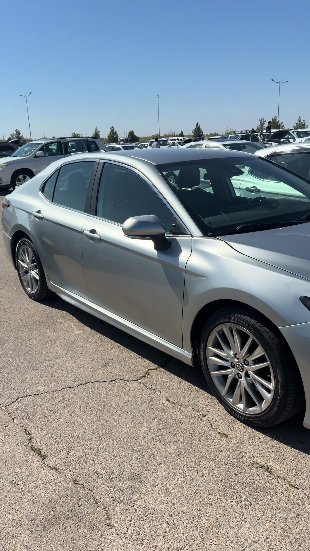 @Auto Cars . TM