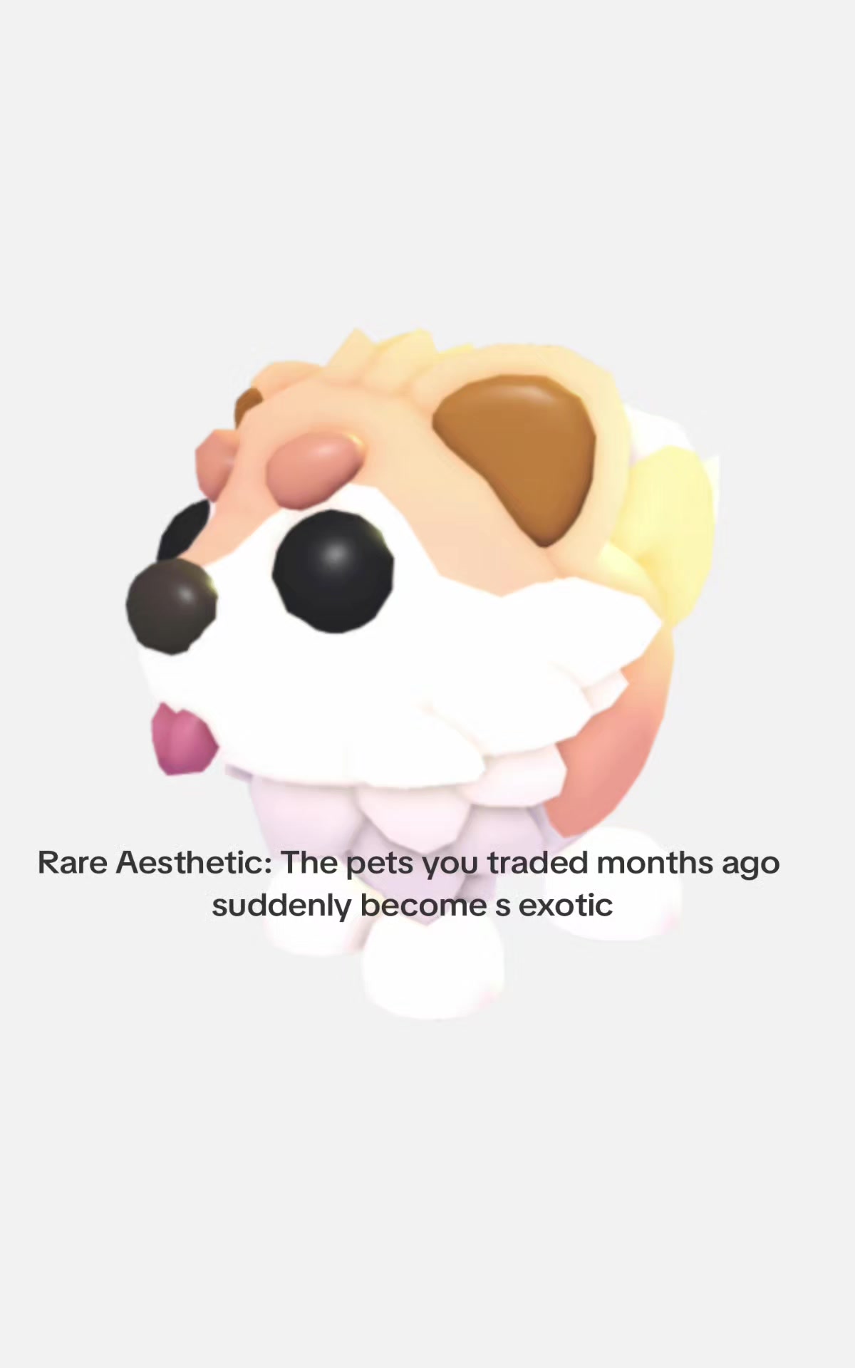 @𐙚⋆вя&iota;&chi;⋆🐾&deg;ᥫ᭡