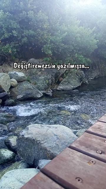@delimsii💜