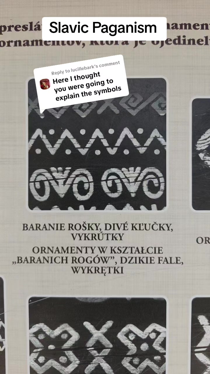 @SlavicSpirit