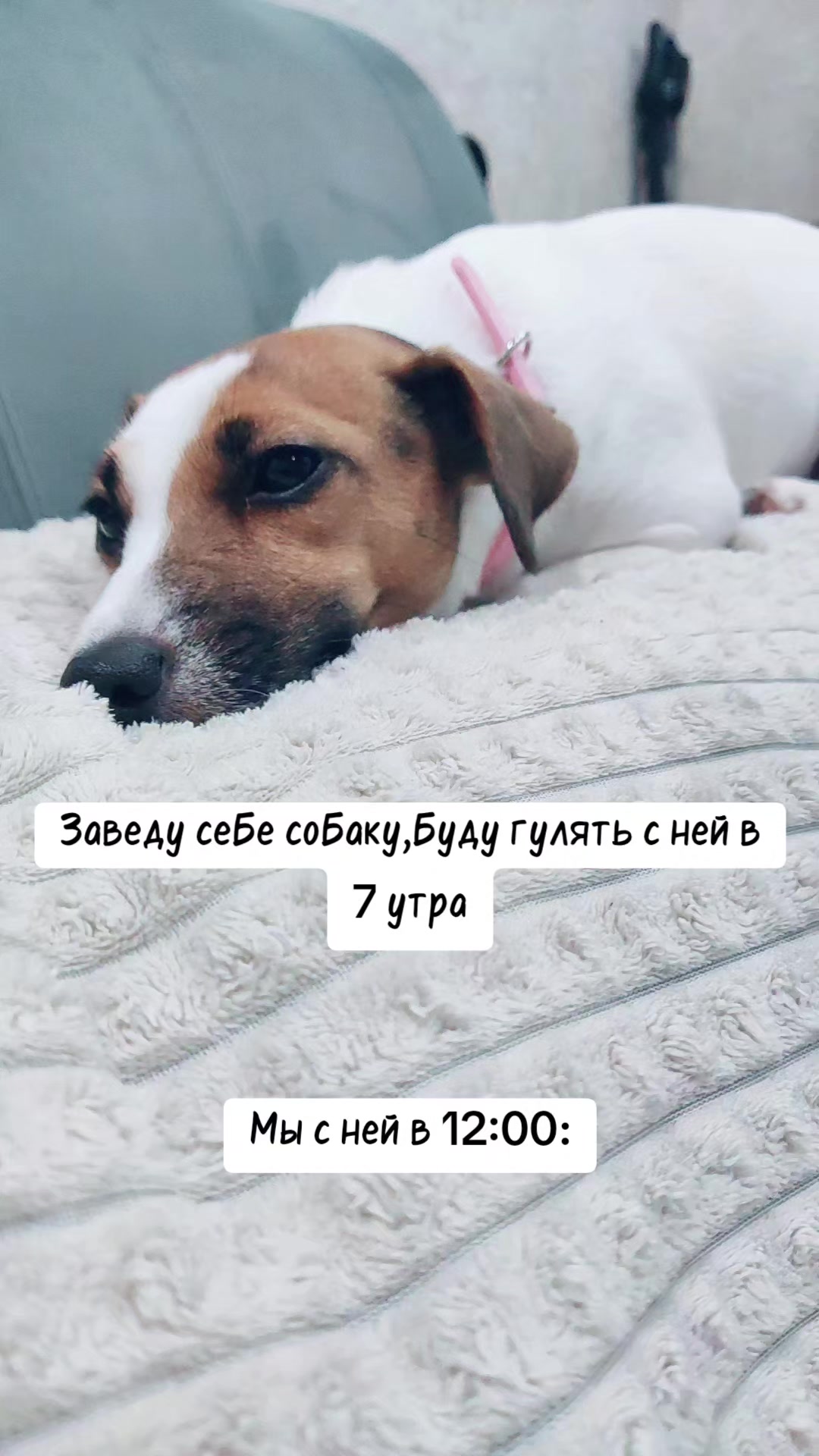 @🇷🇺Радион🇷🇺
