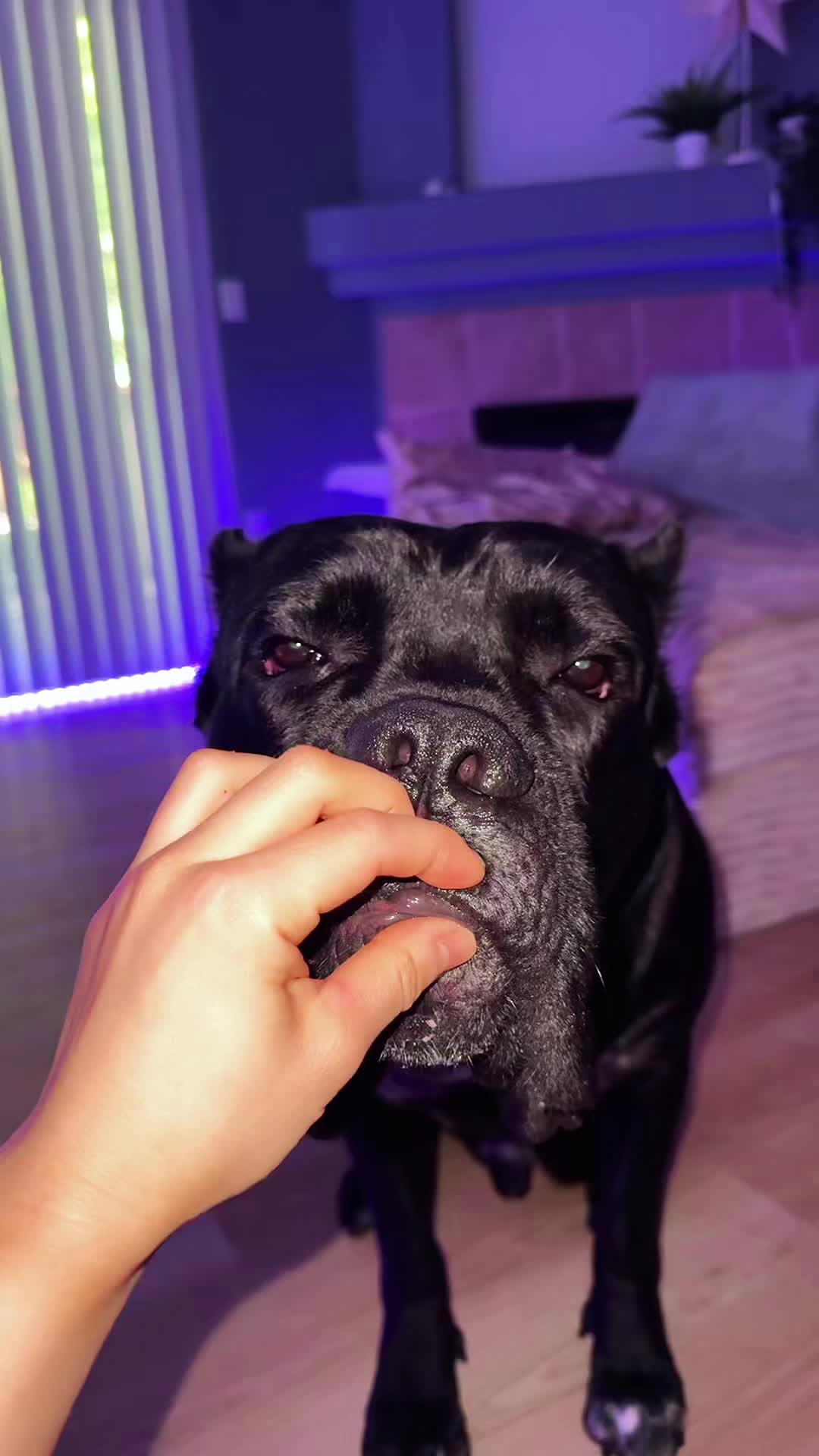 @Bentley Has Issues