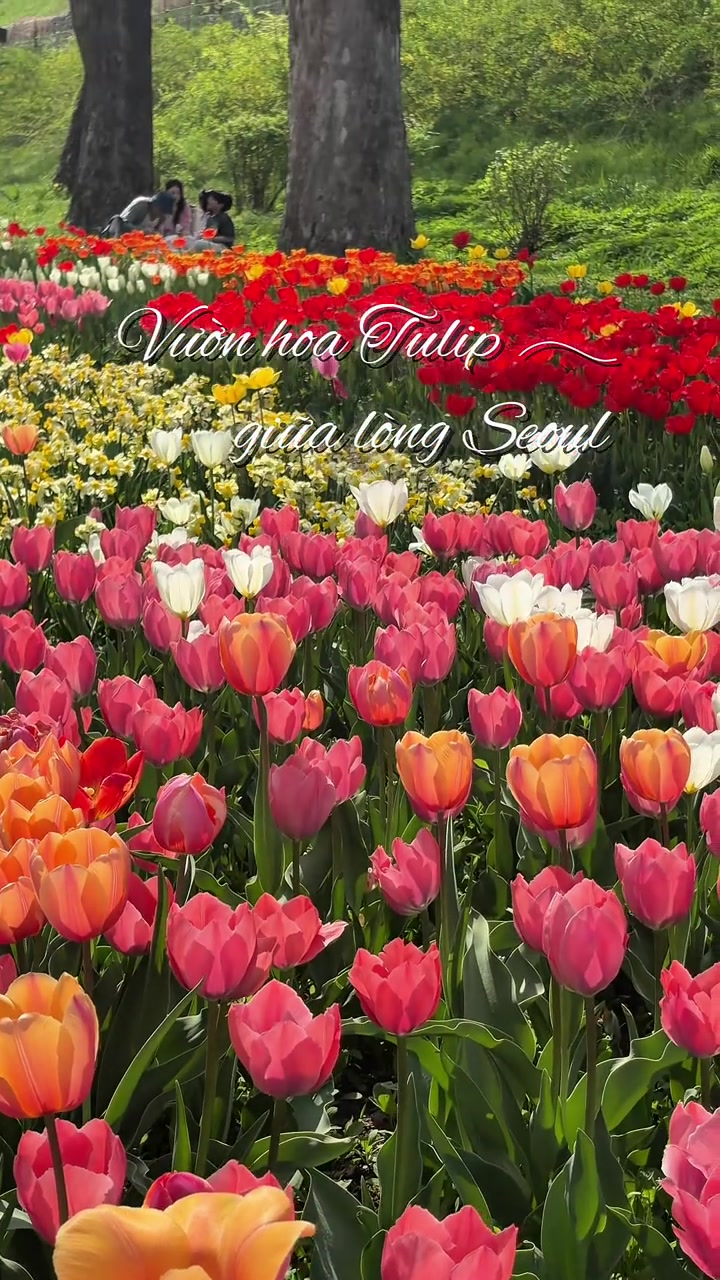 @Phương Hành Hương Công Giáo
