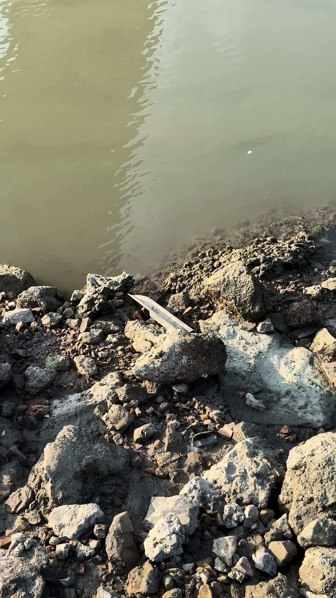 @NGW Angler
