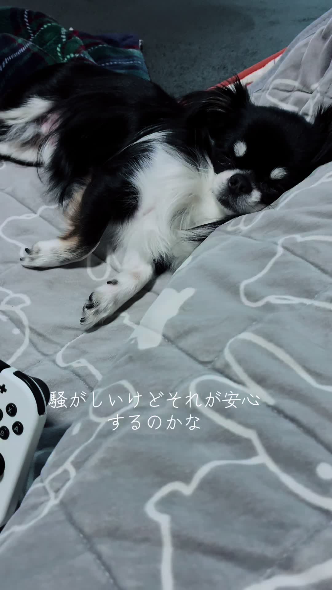 @ayakosansan3