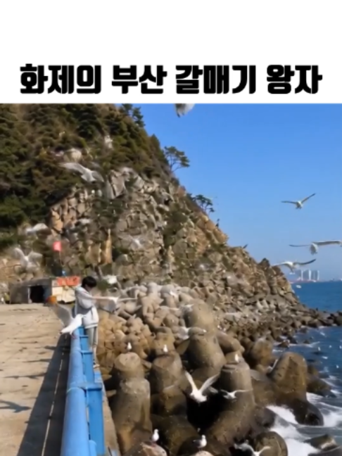 @MU___PD