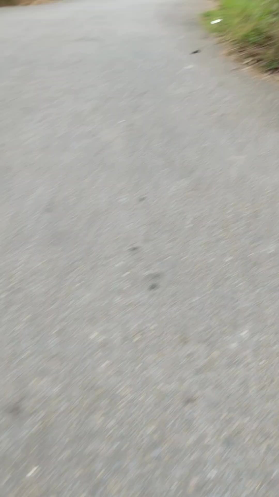 @M.S.