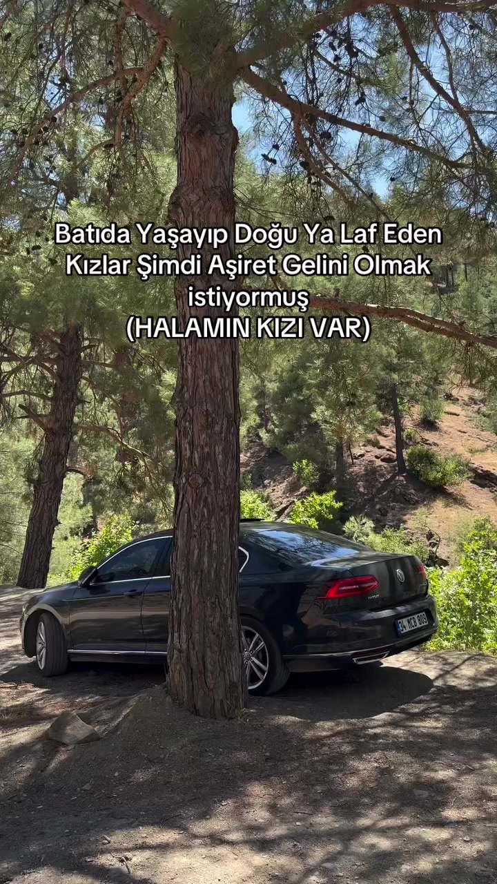 @Luxlifemuş49