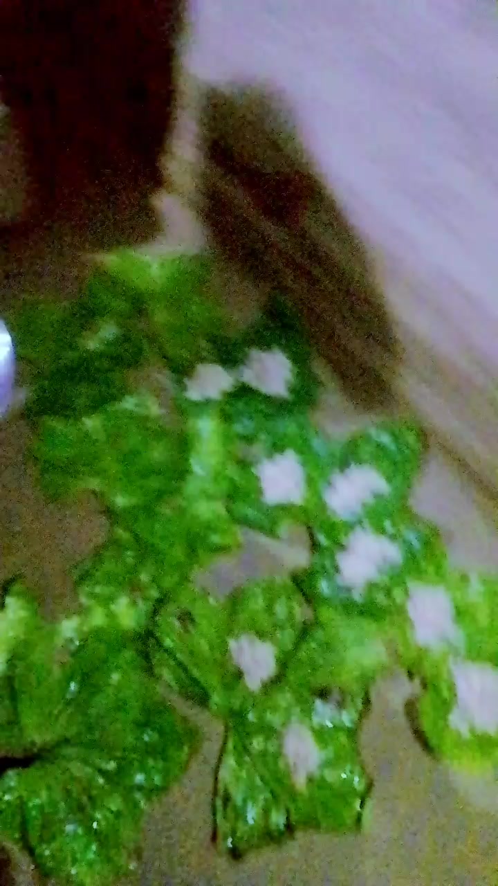 @janvi soni