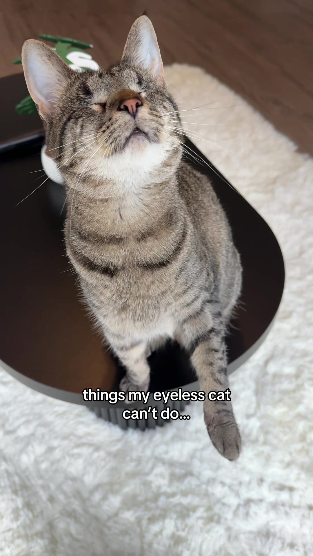 @𝘼𝙢𝙗𝙚𝙧 & 𝙎𝙩𝙚𝙫𝙞𝙚