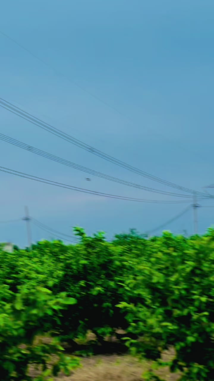 @𝐂𝐇-𝐌𝐔𝐑𝐓𝐀𝐙𝐀 🔥🚩