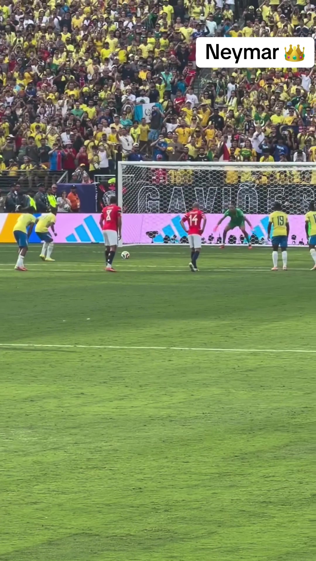 @World Cup Viral