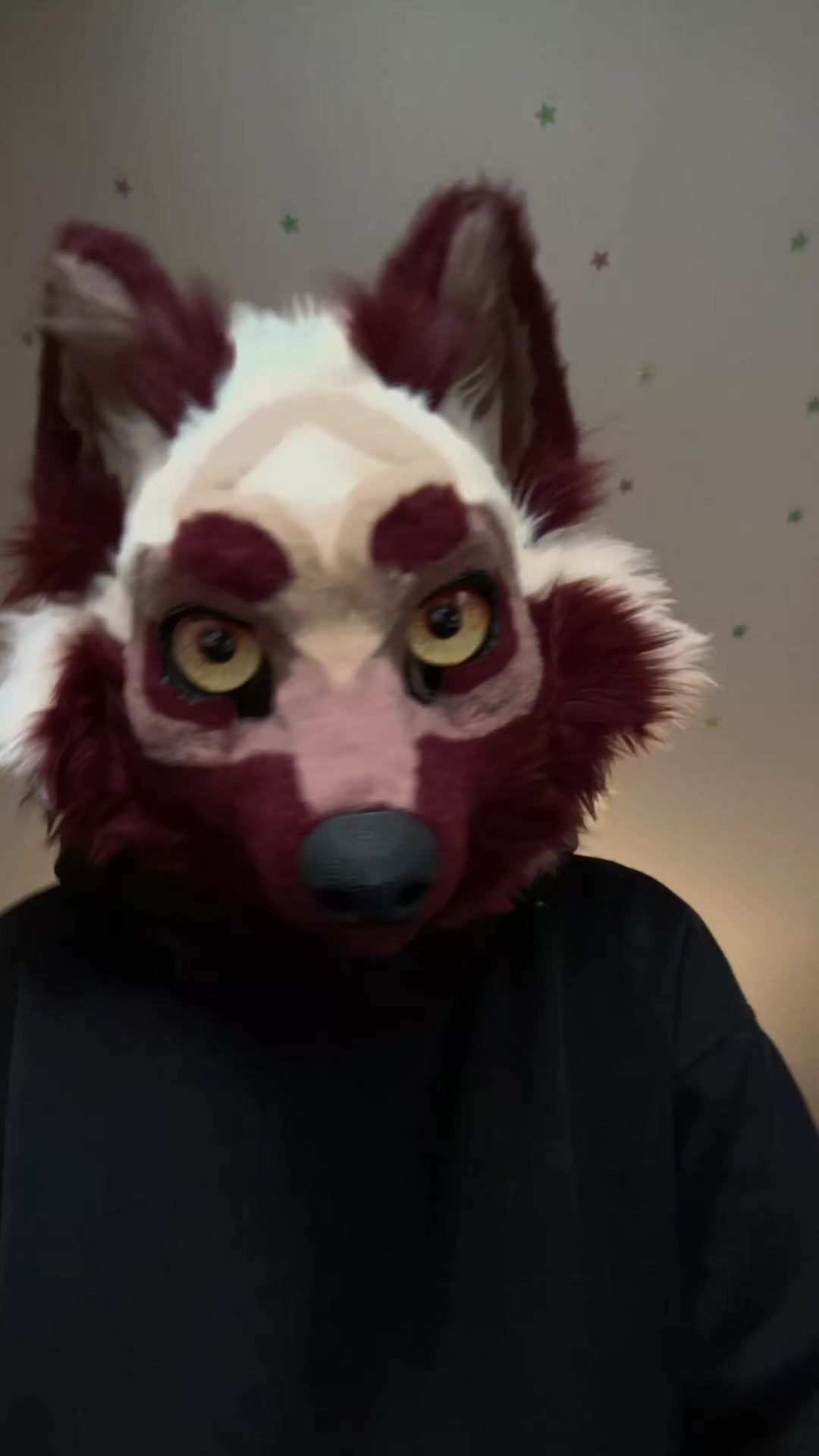 @LeraWolf_workshop