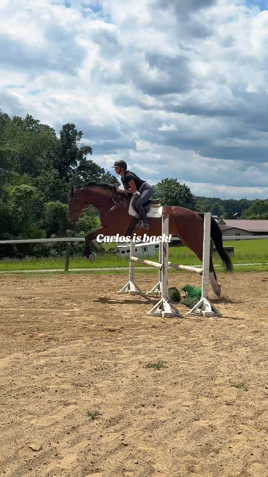 @Lunar Hill Equestrian