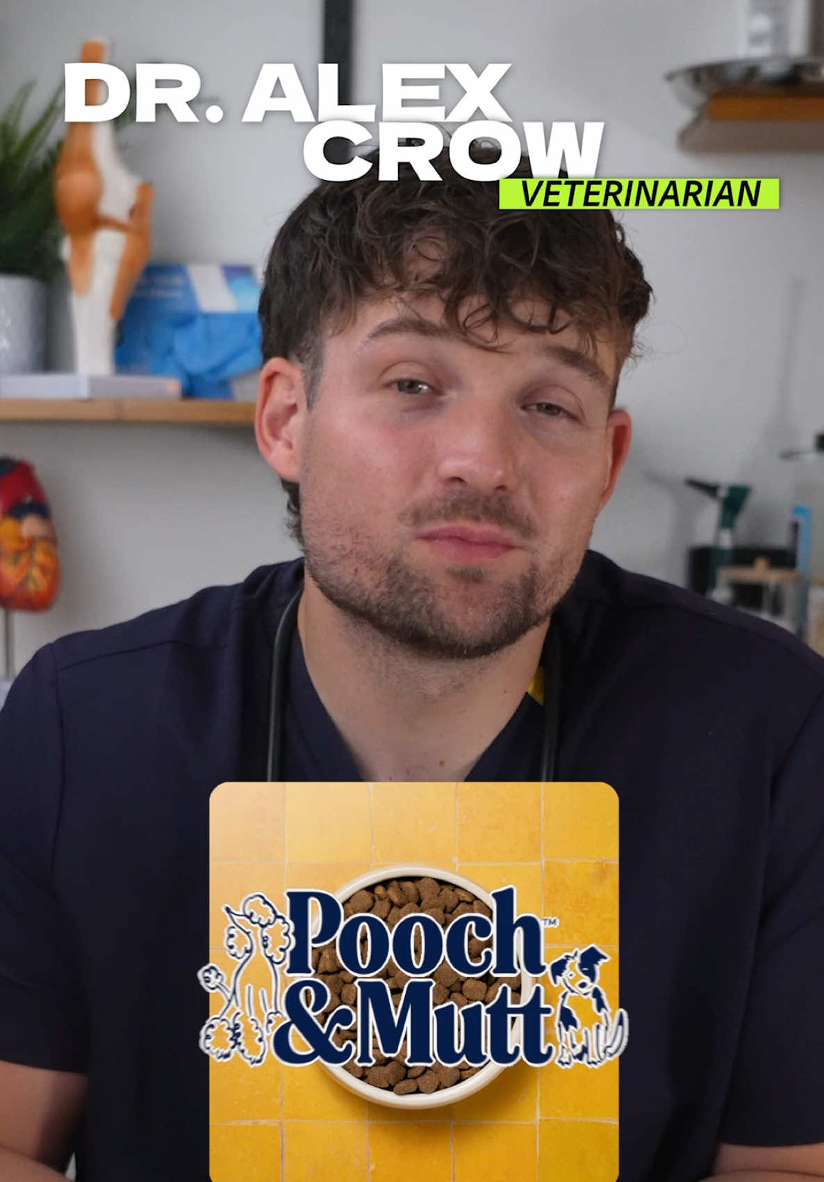 @The BK Pets - Dog Food Tips