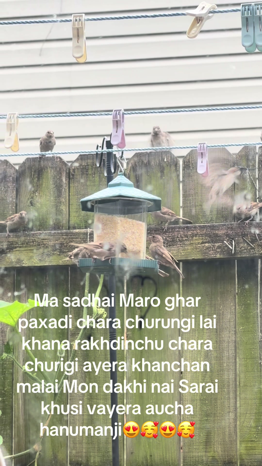 @Bashu boro dahal ko choro