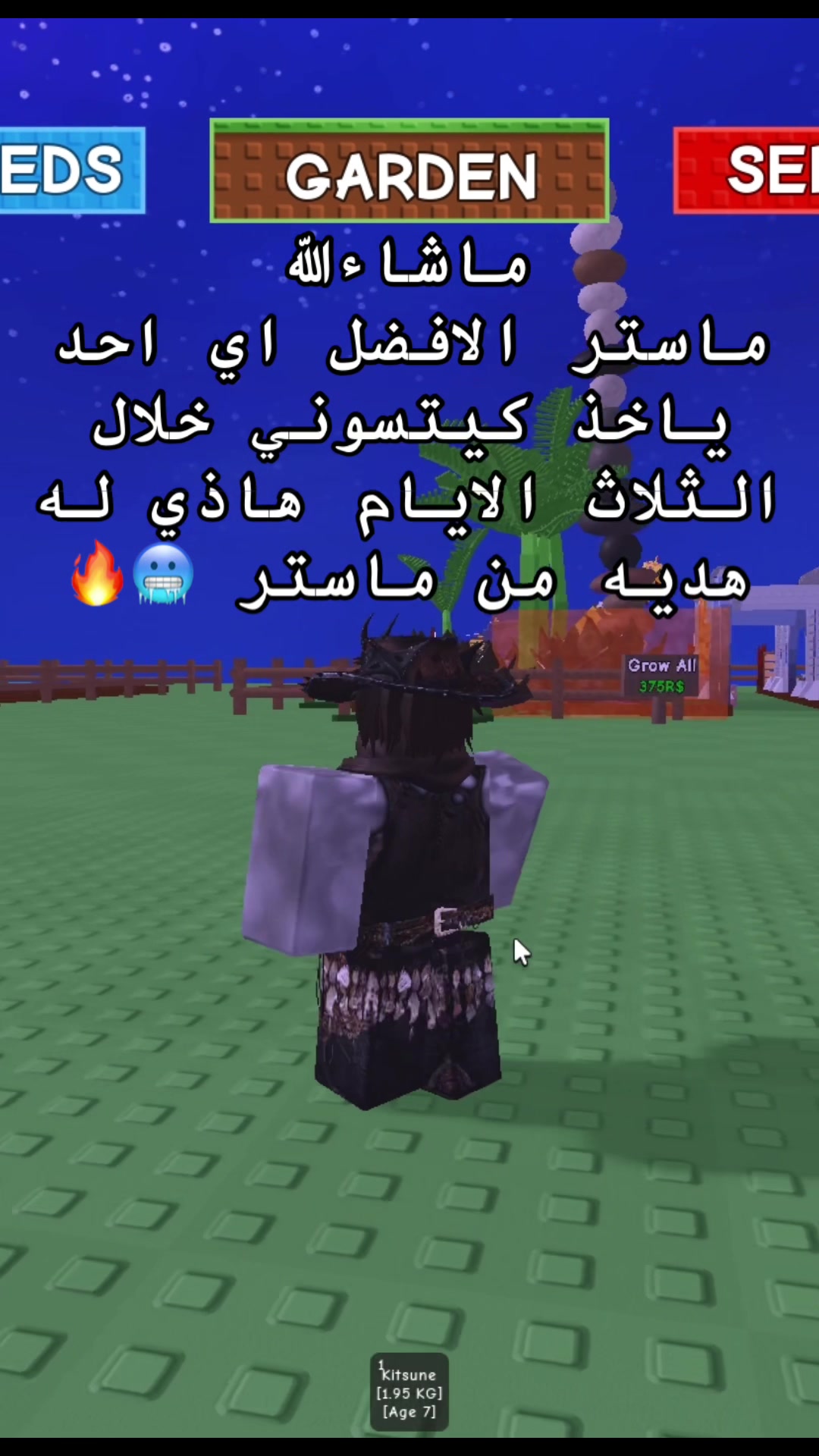 @Zyro