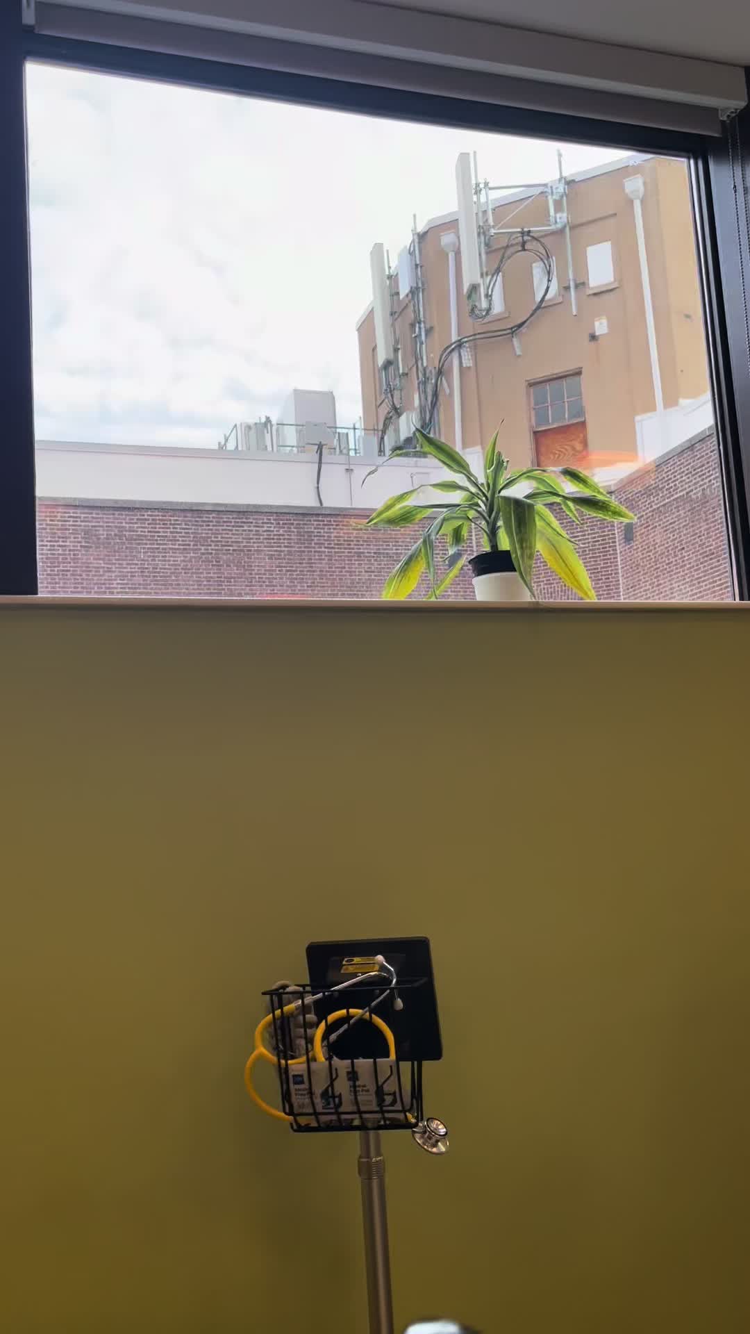 @NeuroLume Collective™️