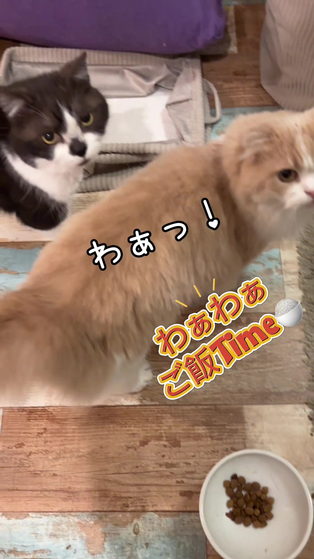 @くるラテ