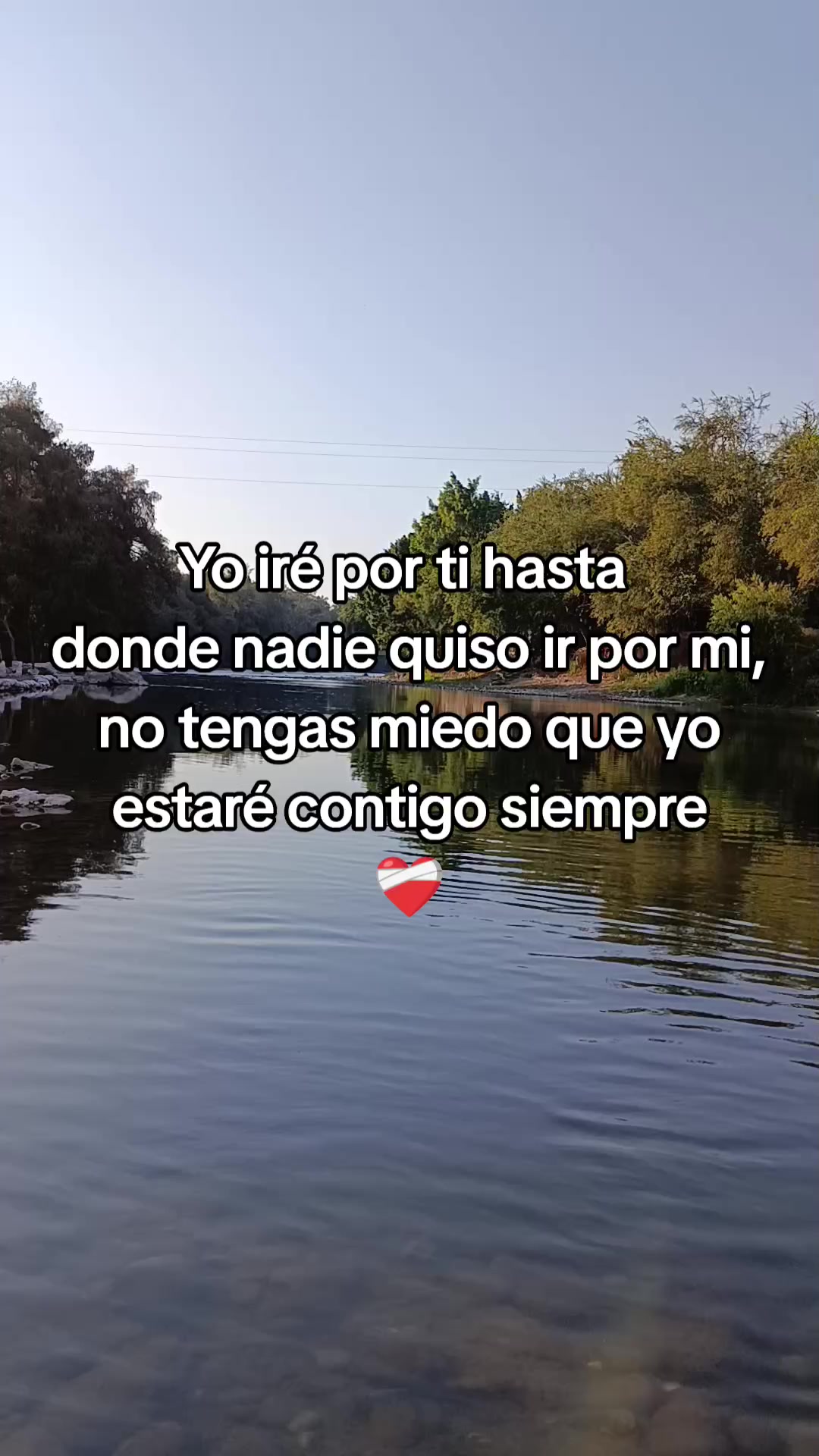 @Leslie DommWall