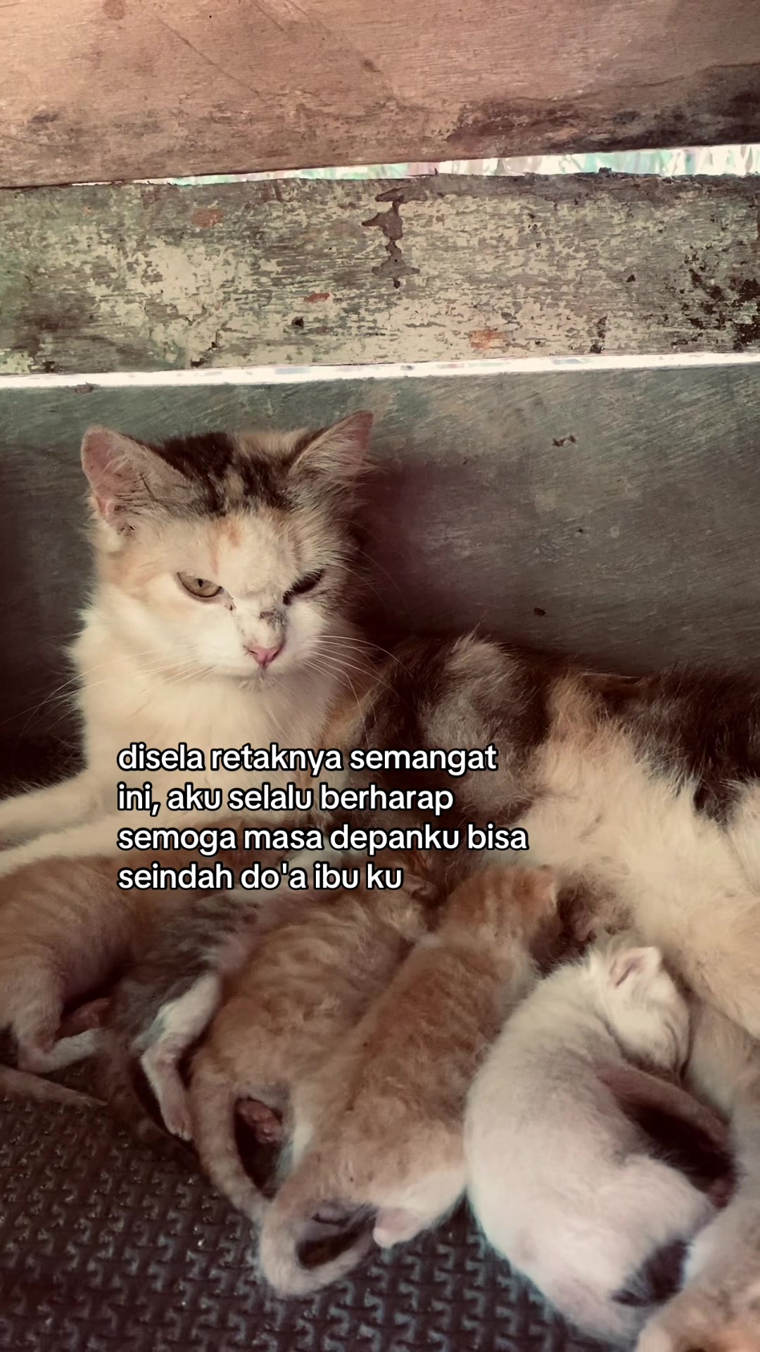 @-