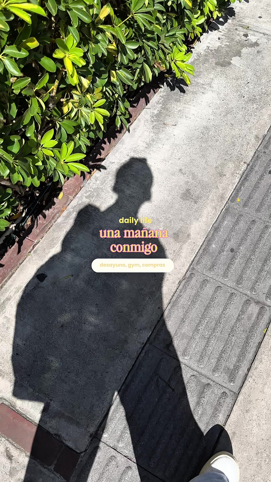 @alba ⭑