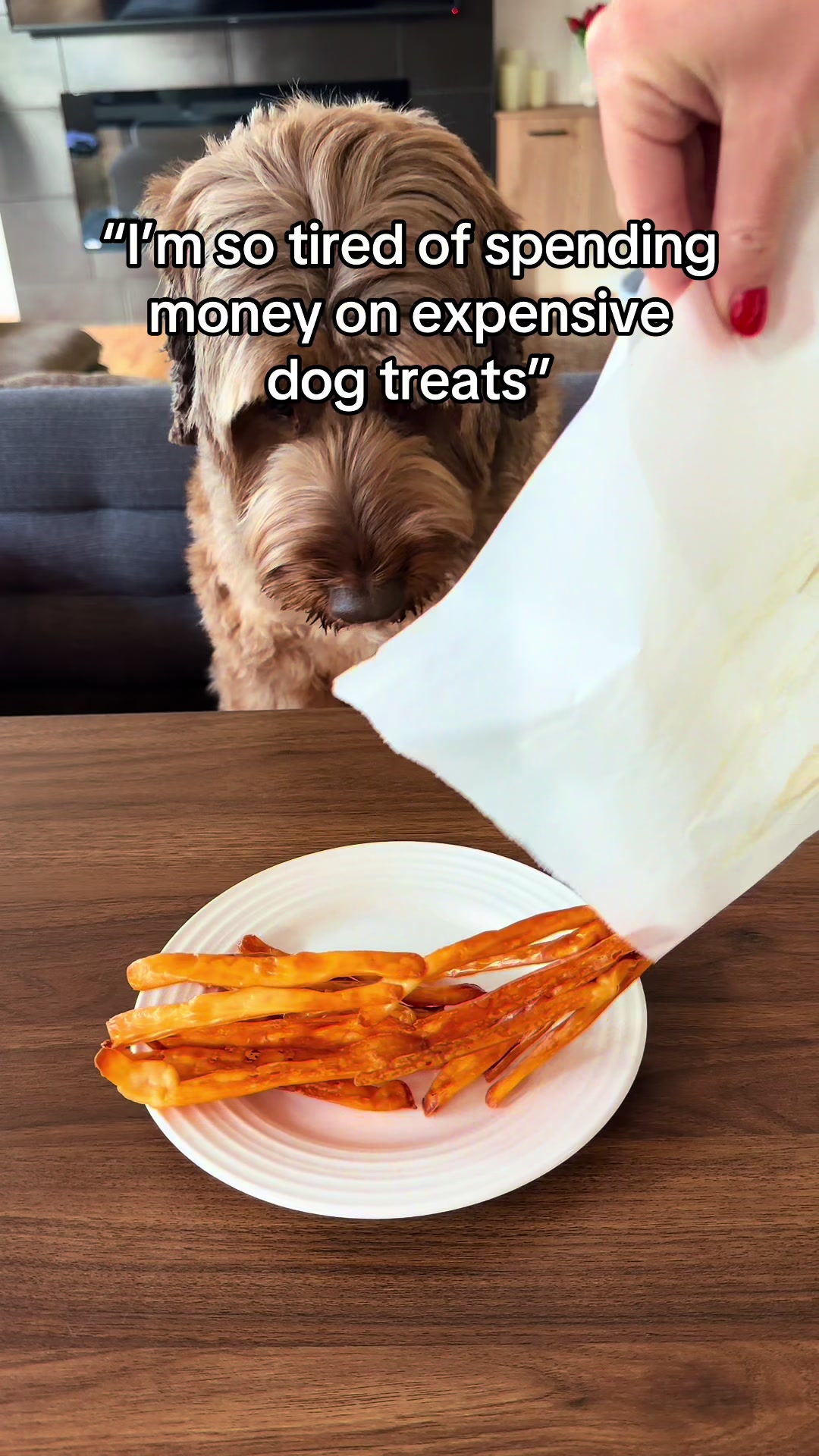 @Dogs Made Simple