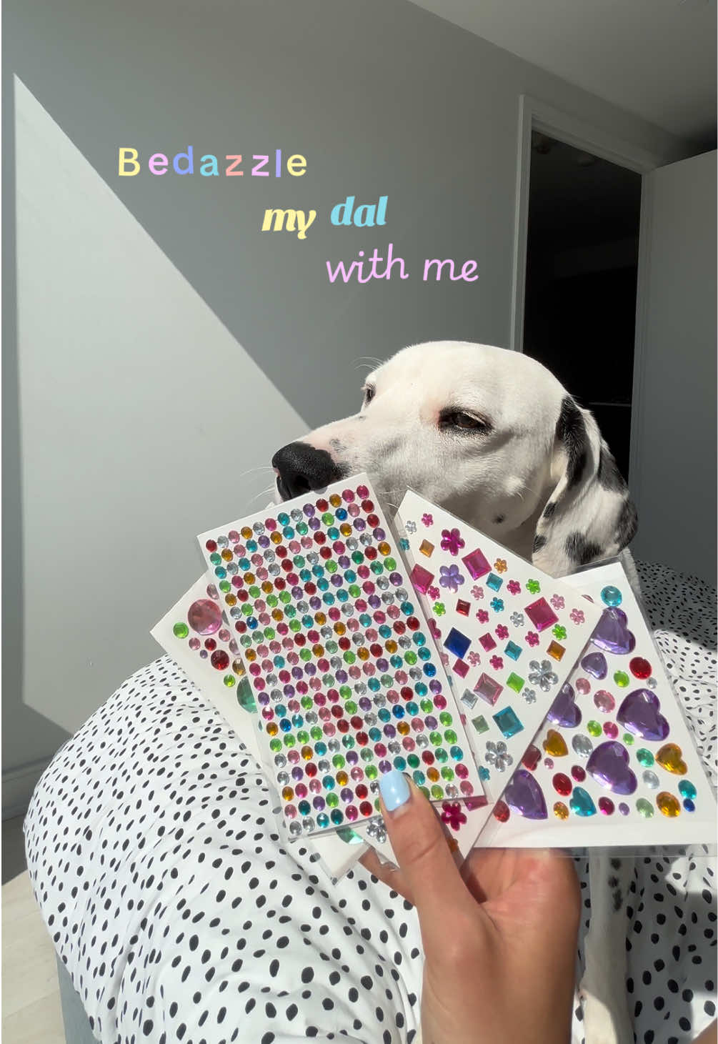 @Nevada the Dalmatian
