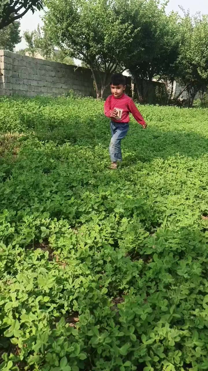@lalakhan