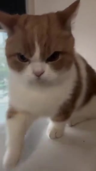 @^ྀི