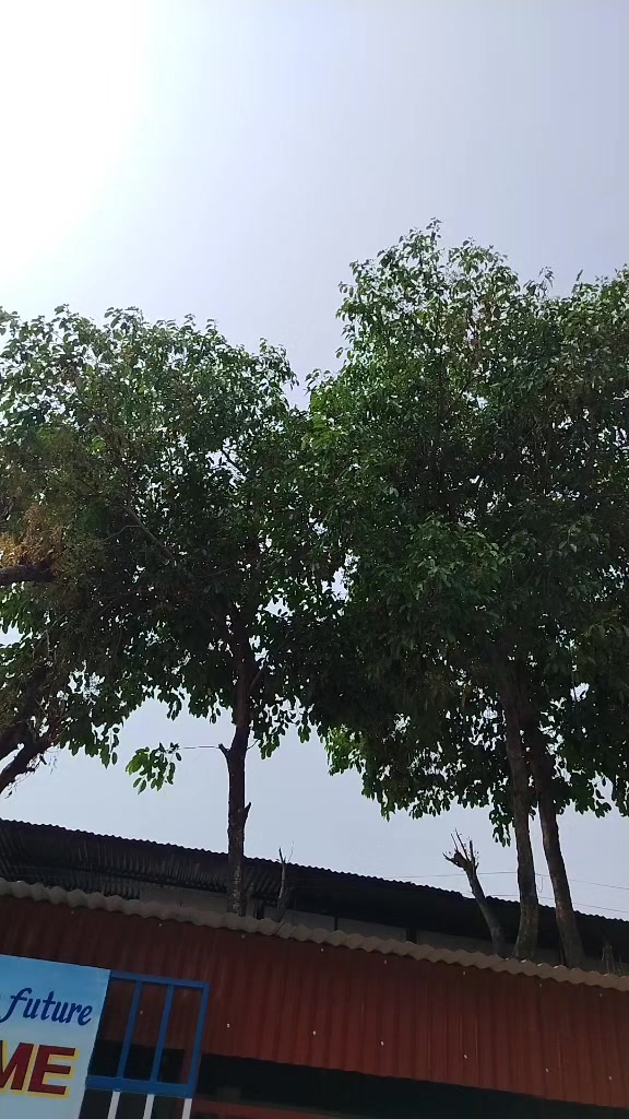 @Binodkarki50