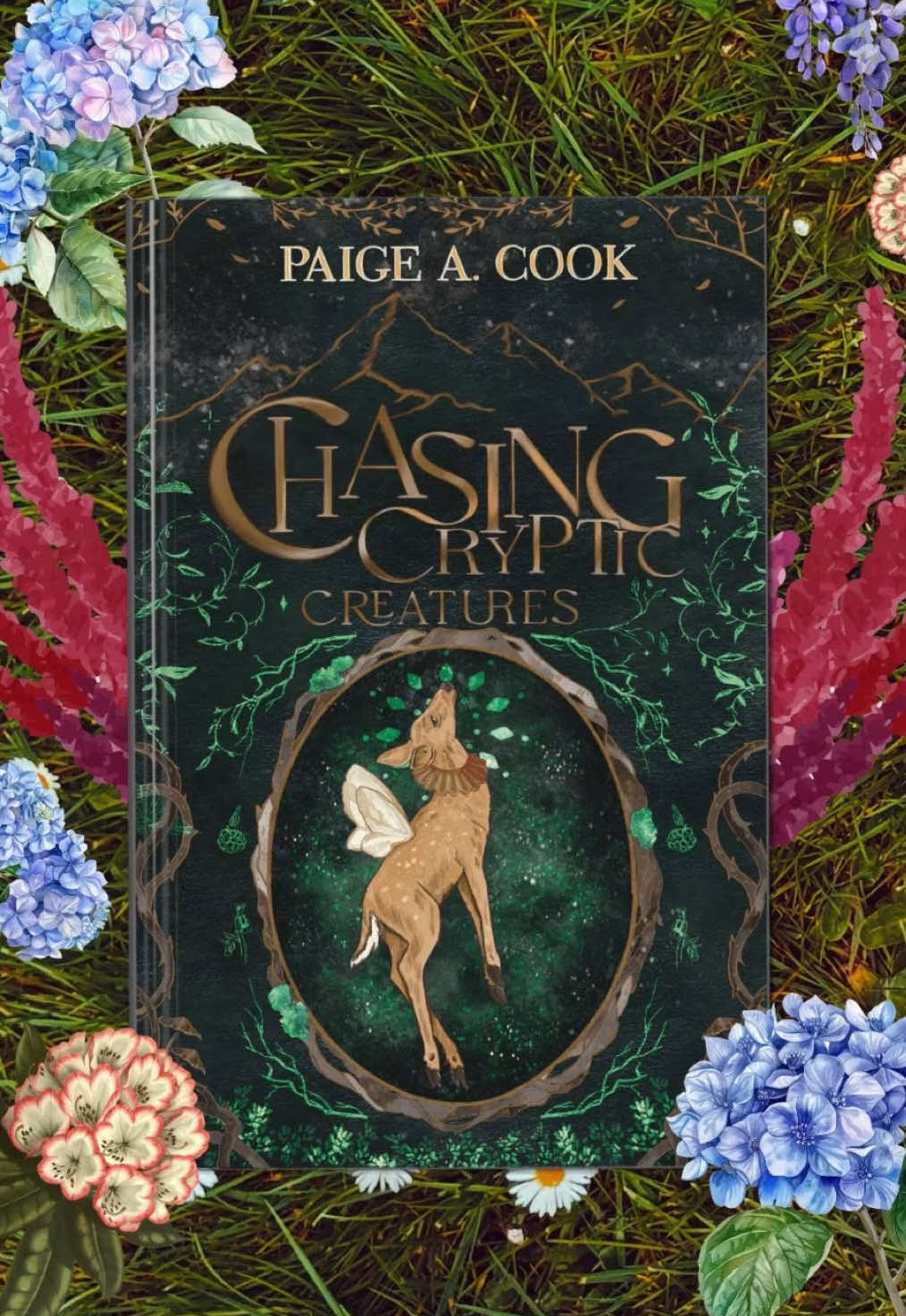 @Author Paige A. Cook
