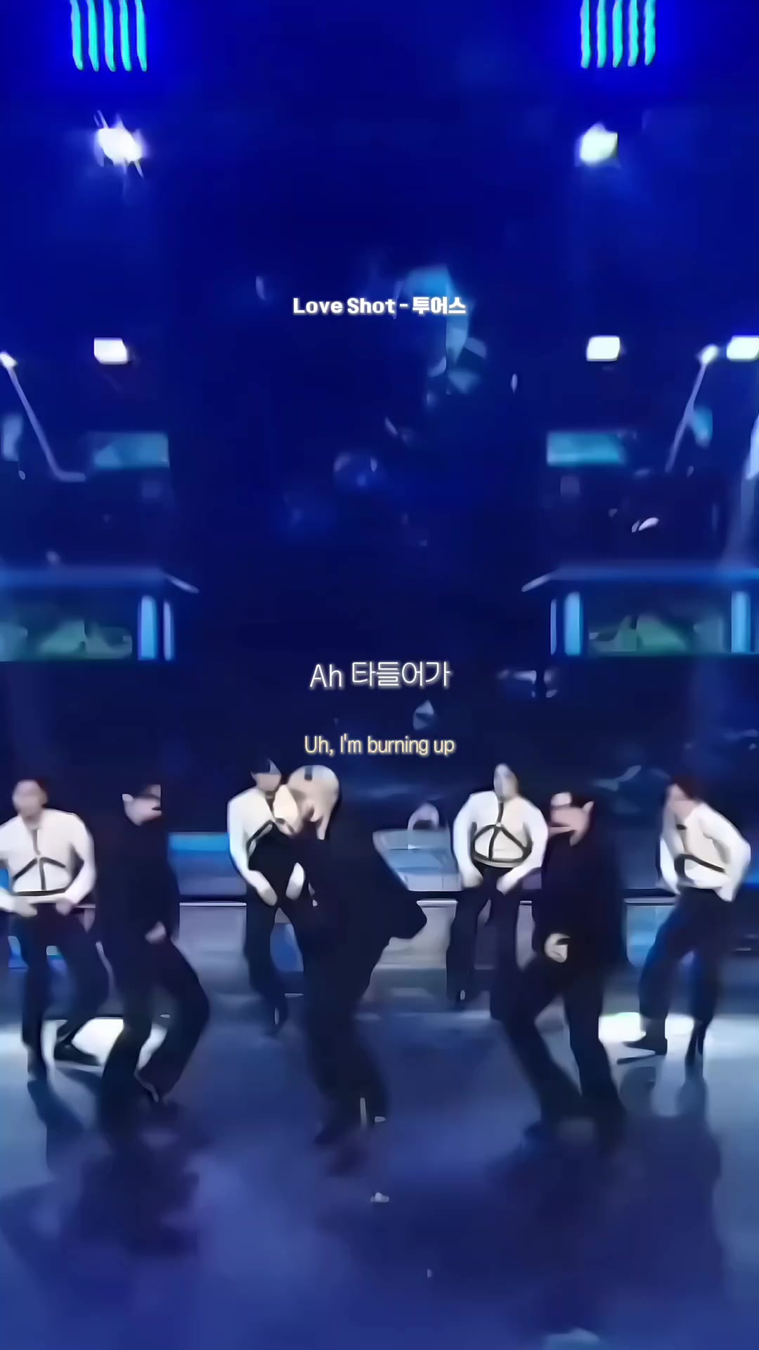 @니브