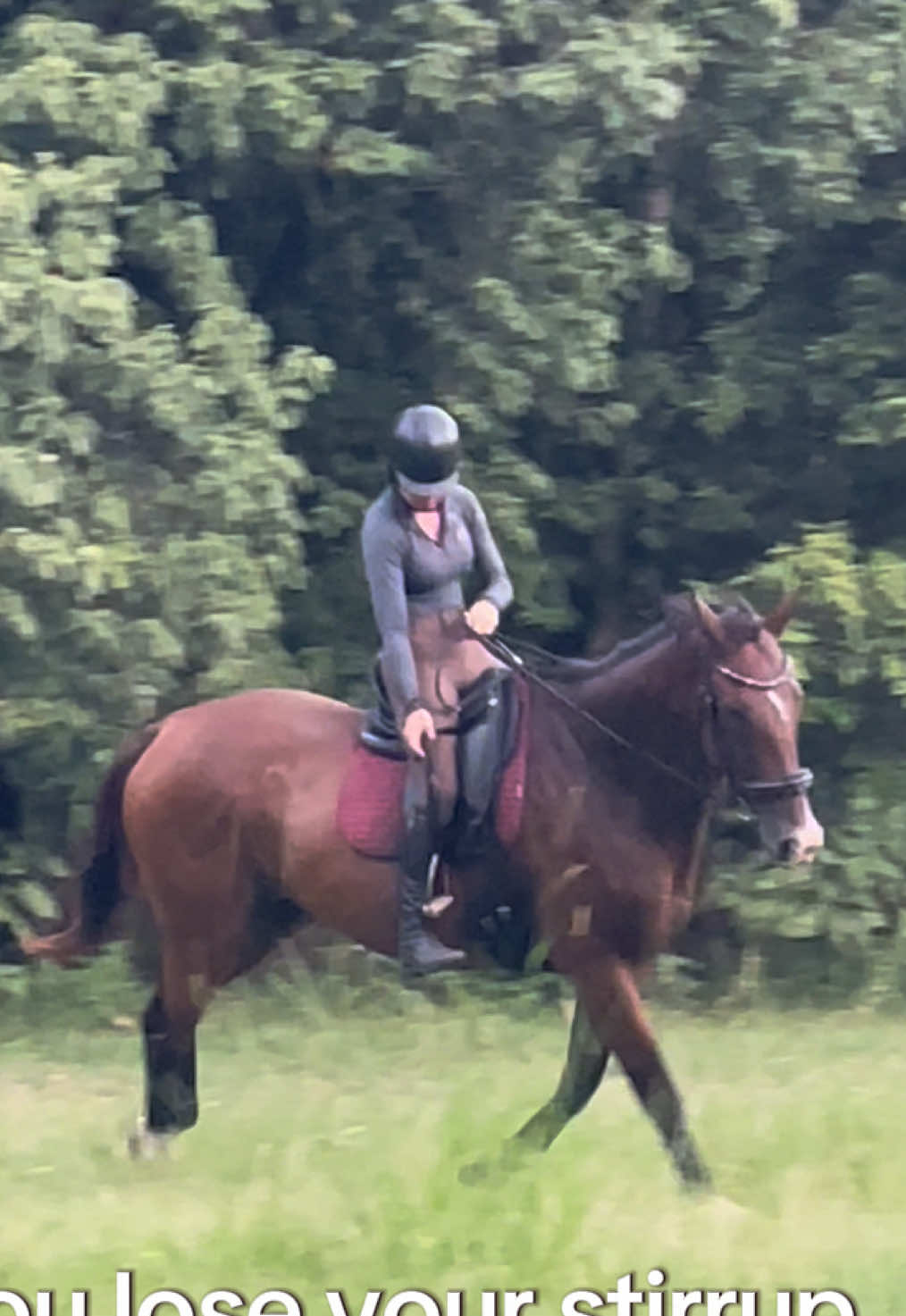 @Double F Performance Horses