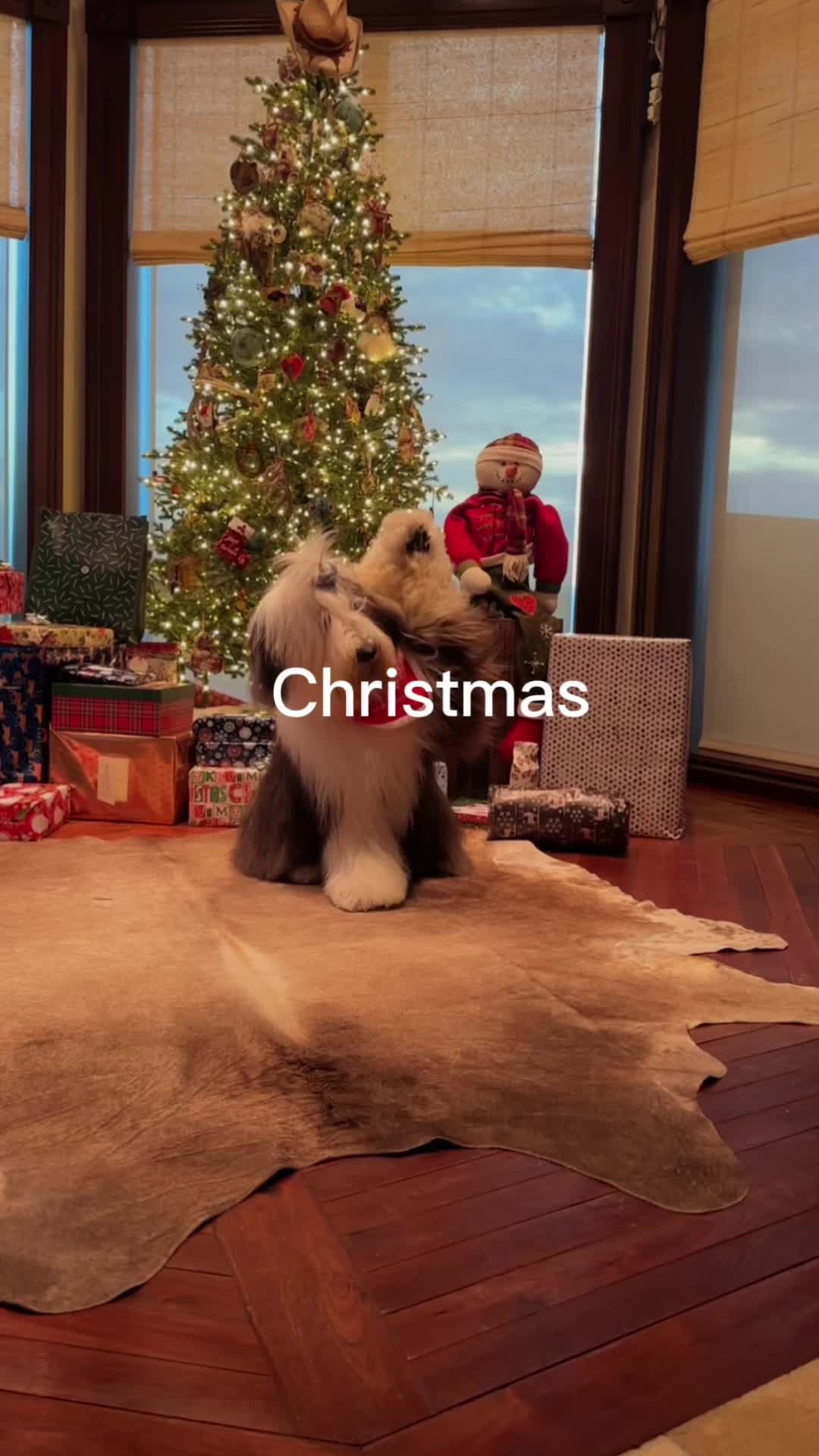 @cowhidesdirect