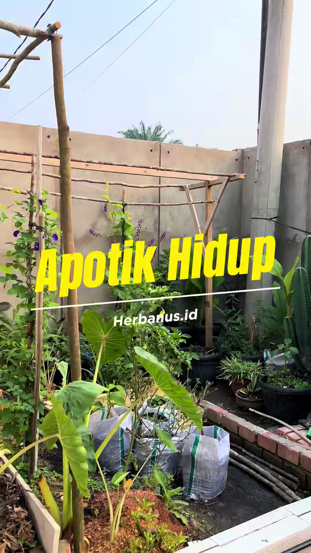 @de erstungkoro
