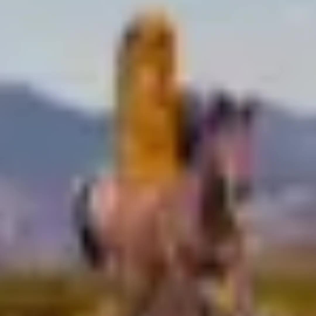 @TREWX