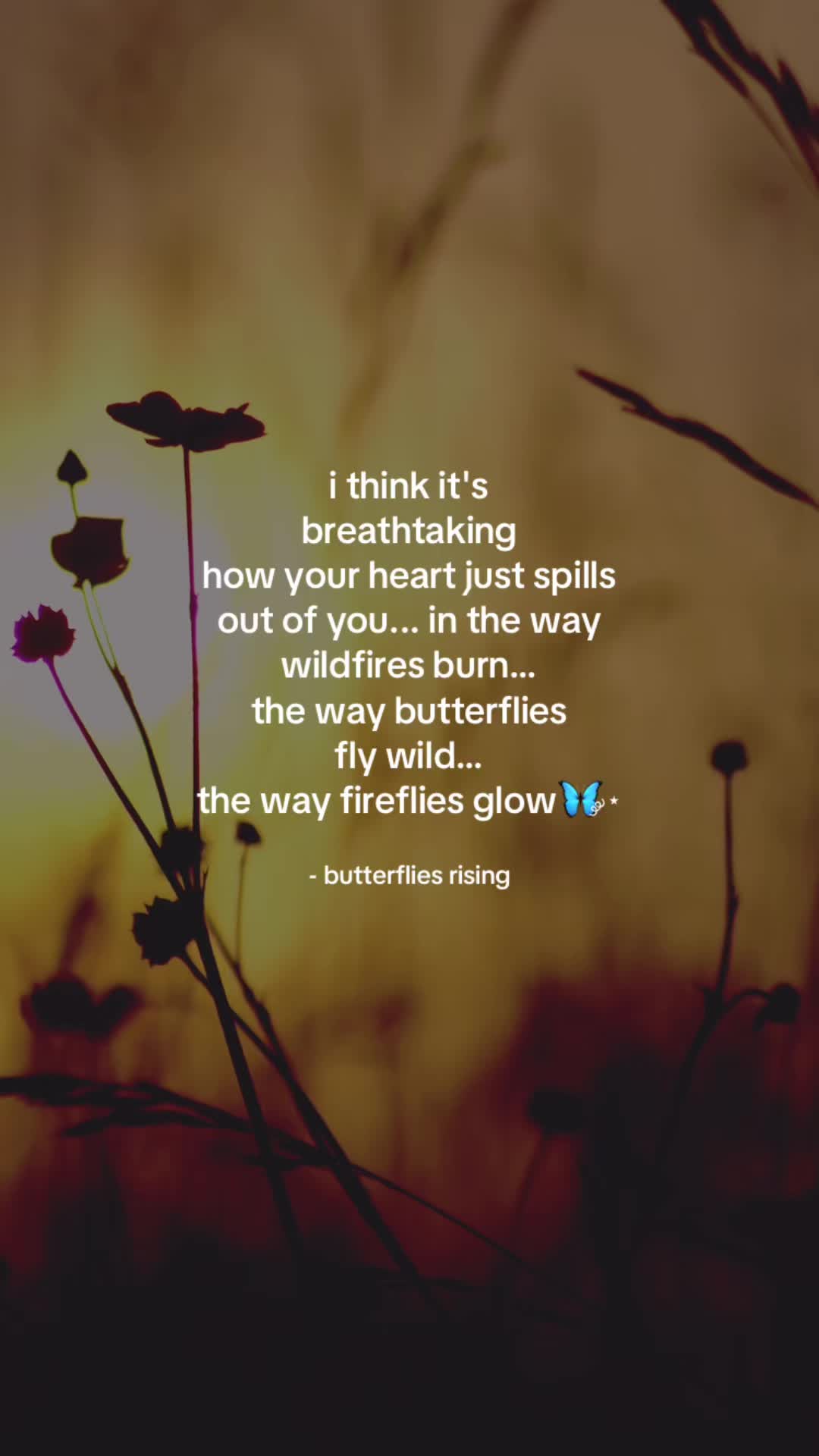 @butterflies rising