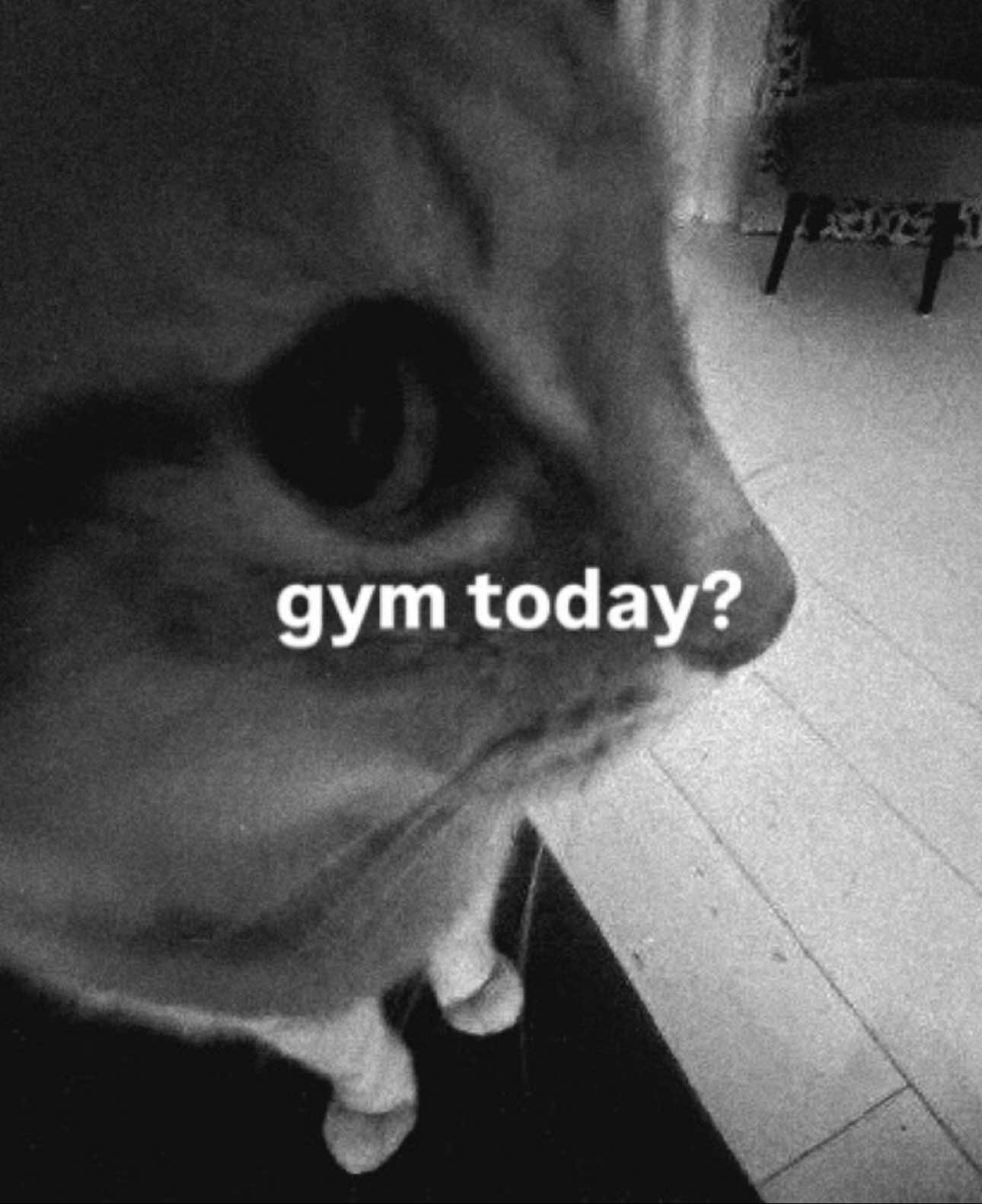 @Kyle Vargas