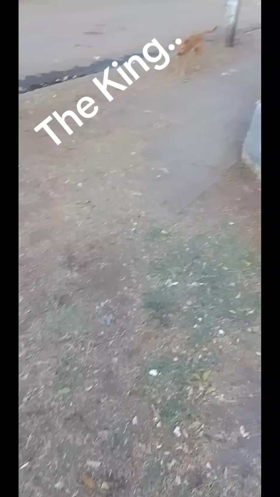 @Bendecido GÓMEZ...