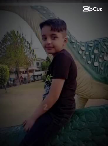 @Awais Malik