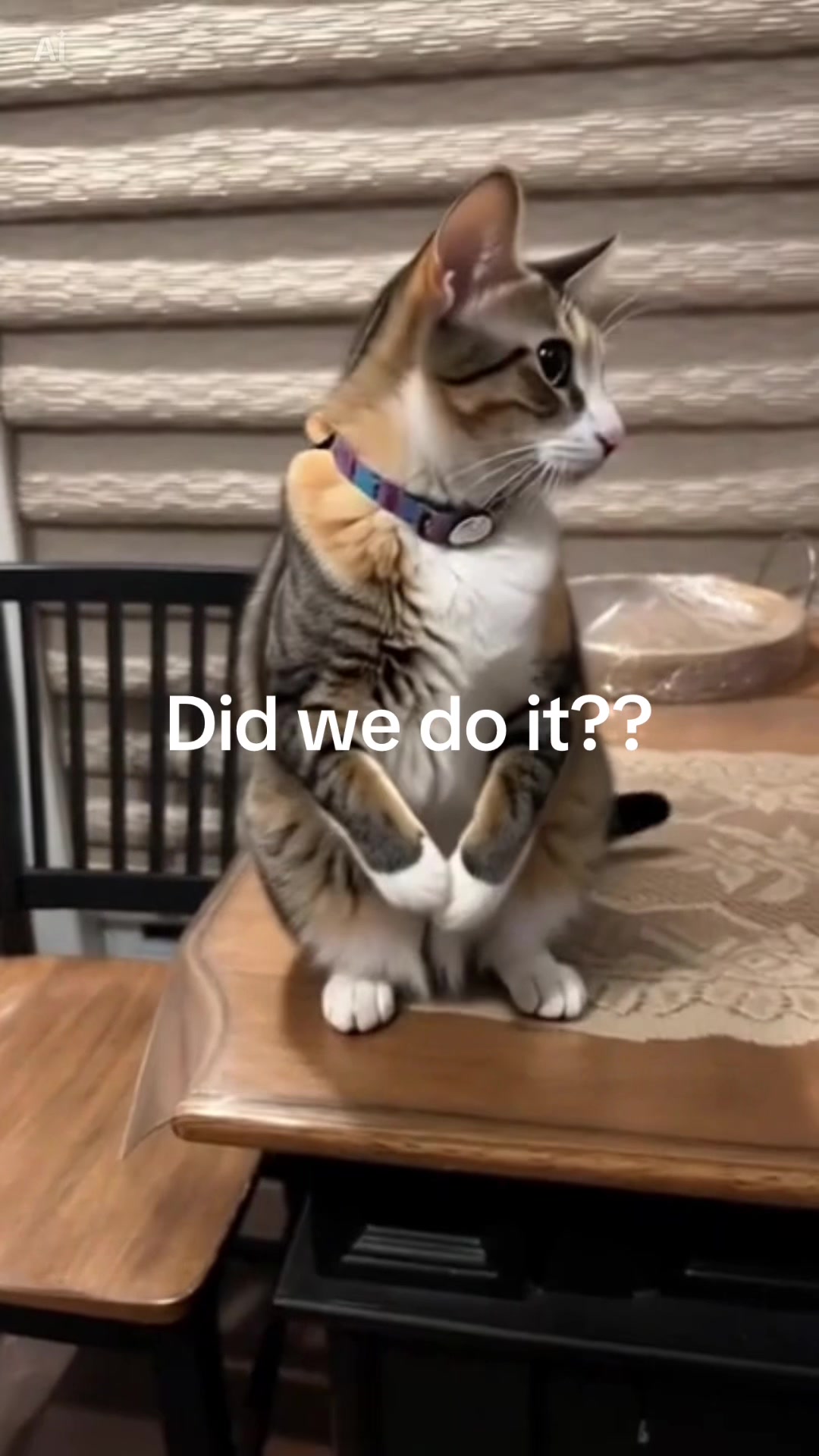 @Adventures of Baby Kitty