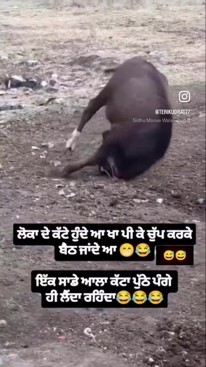 @ਮਿਨਹਾਸ ਰਾਜਪੂਤ