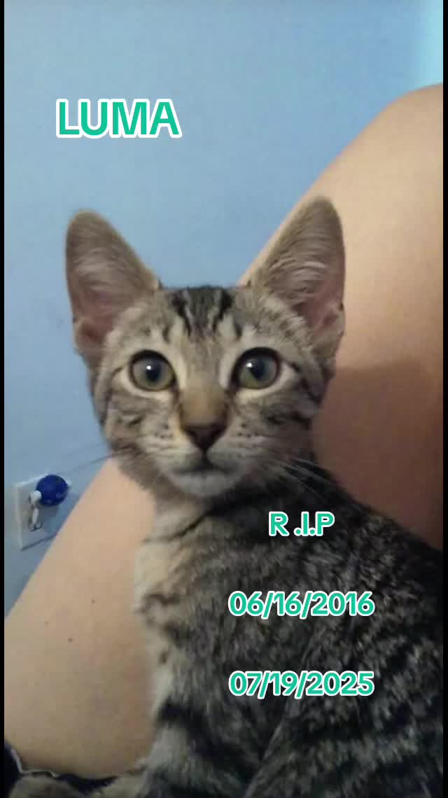 @GinnCats420