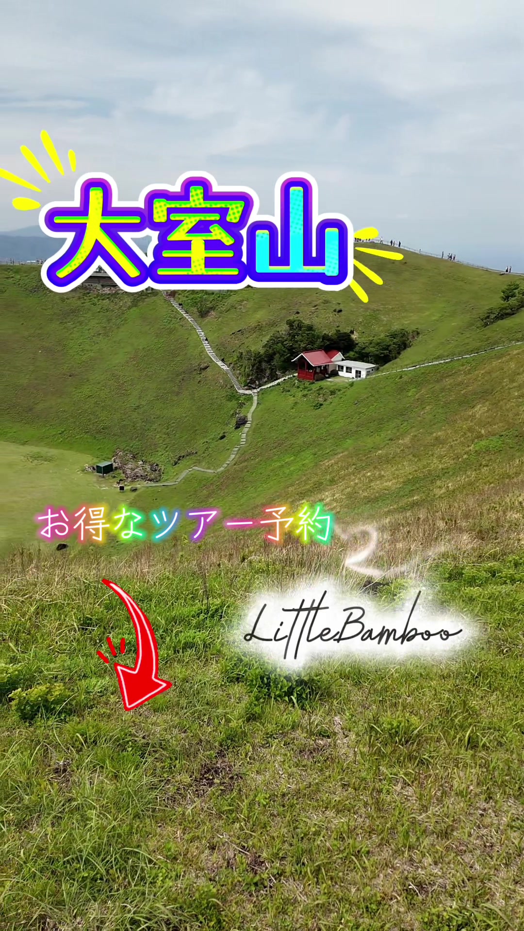 @LittleBamboo.ls