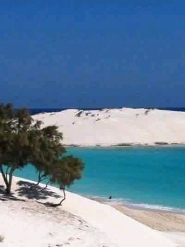 @احمد النجومى