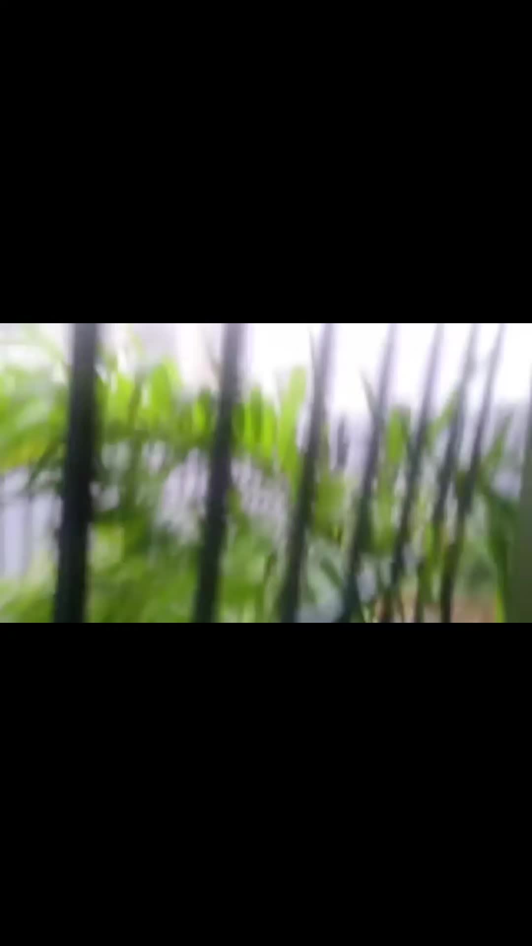 @mari45