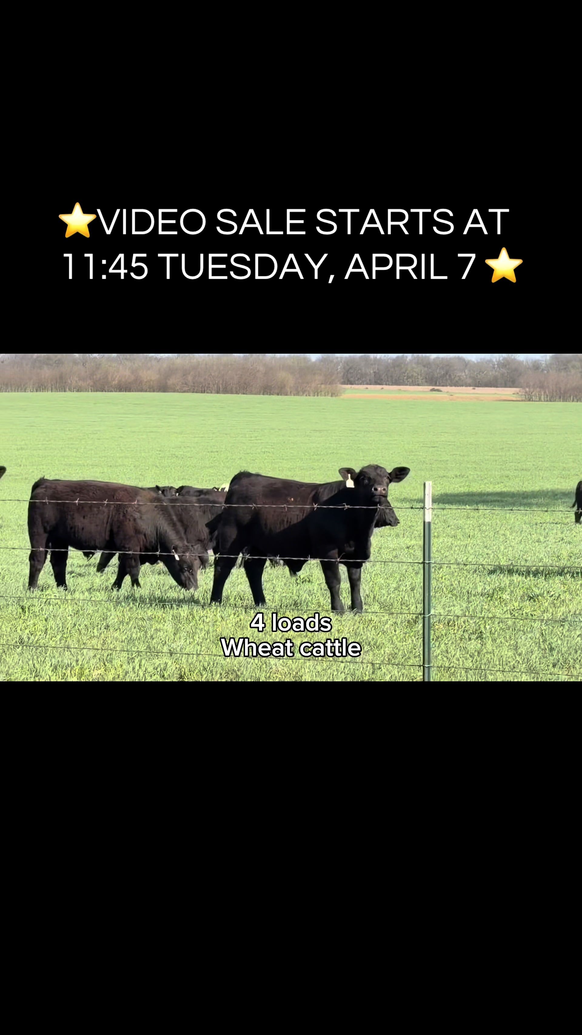 @Welch Stockyards
