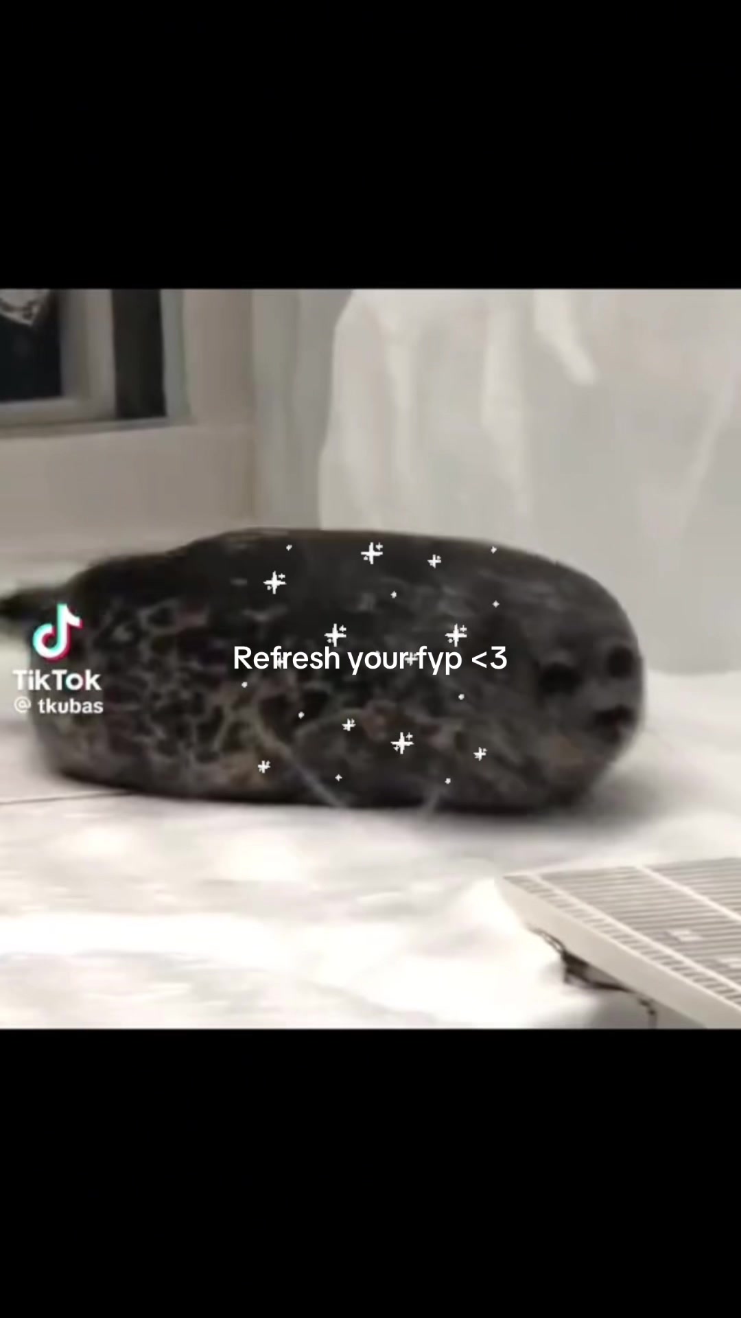@BaikalSealHugger